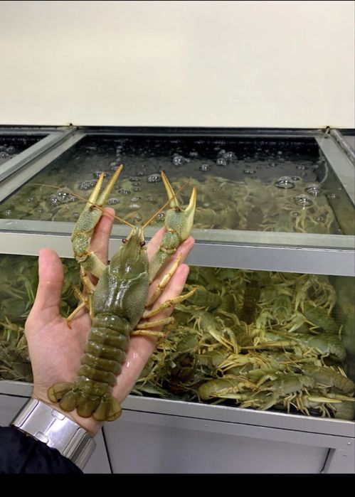 Клешни краба,живые раки,креветки,морепродукты