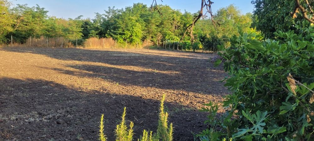 Продавам дворно място Равнец област Бургас