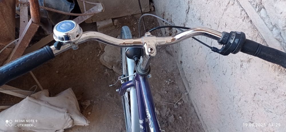 RAGGIZZI Germany velo sotiladi