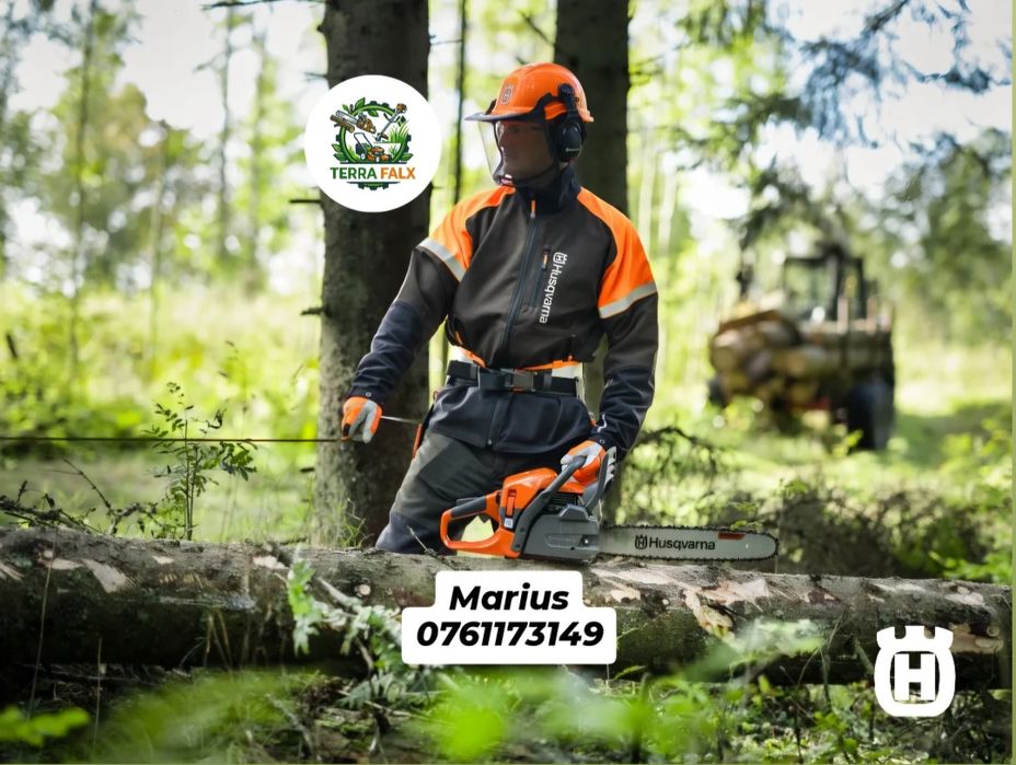 Curățare Teren și Curte, Defrișare, Tuns Iarbă/Gazon/Gard Viu, Toaletare Pomi, Tăiere Copaci, Erbicidare Amenajare Grădina Cosit Iarbă Grădinărit