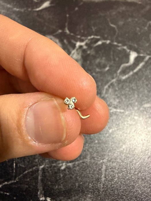 Tilla burun uchun sirģa