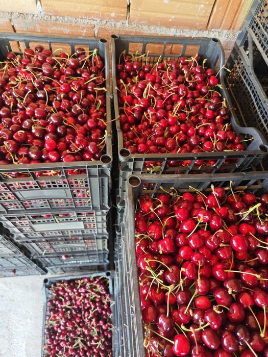 Продава се Земеделски имот в с. Селиминово, Област Сливен -  кв.м за 712 €/дка - Снимка #1