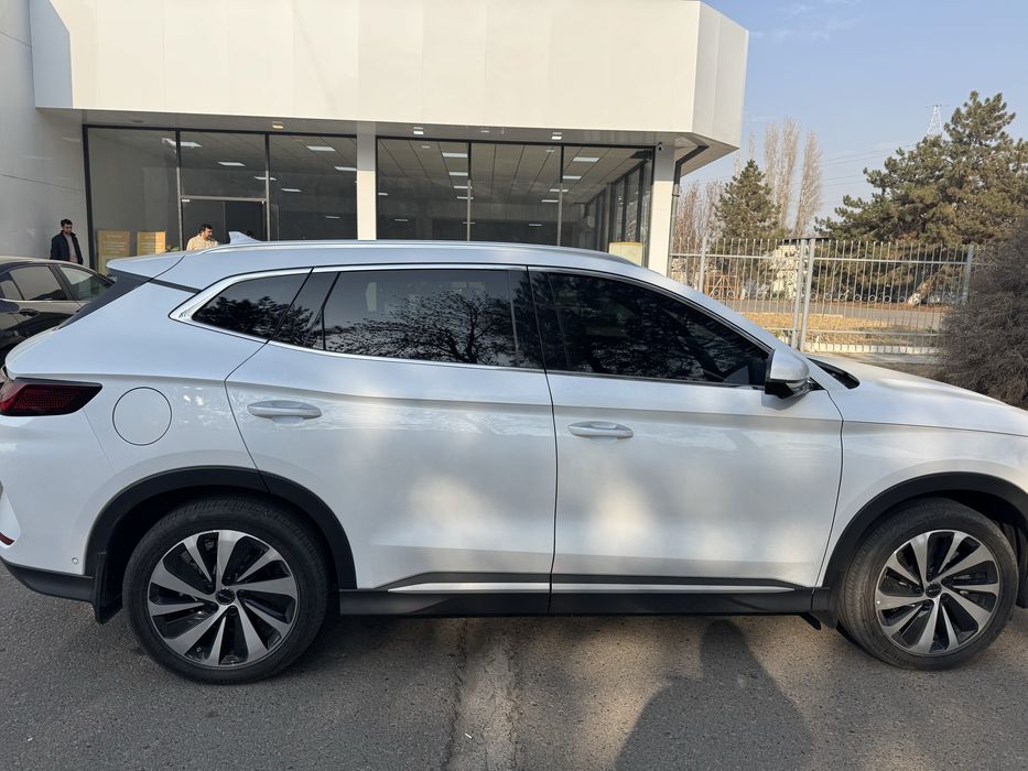 Byd chempion 2025