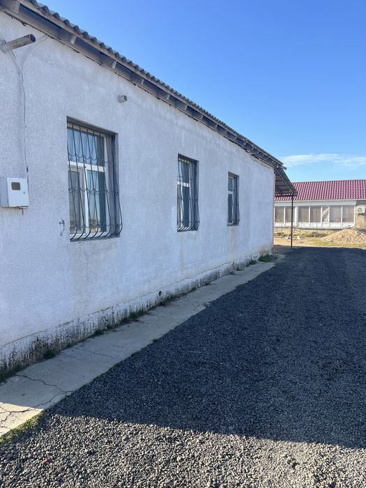 Кызылтобе-2 ден улкен уй сатылады