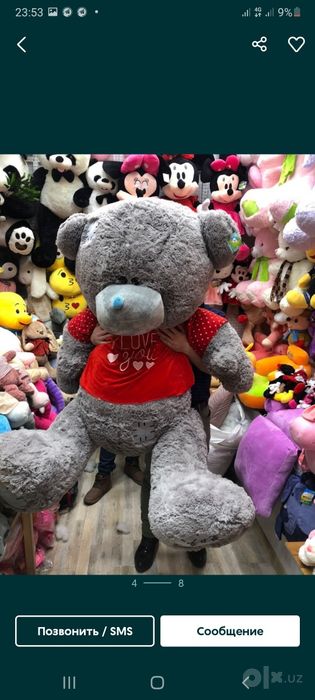 Teddy orginal 10%Skidka