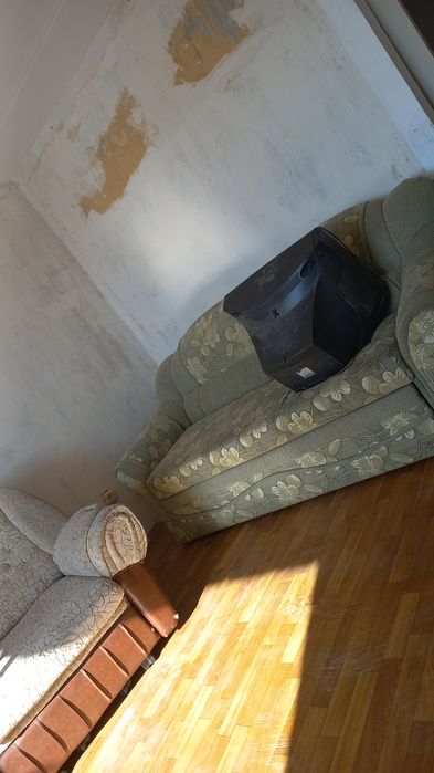 Отдам даром только самовывоз