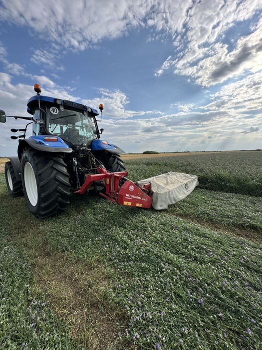 Vand coasa lely splendimo