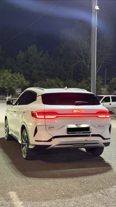 Byd champion 605