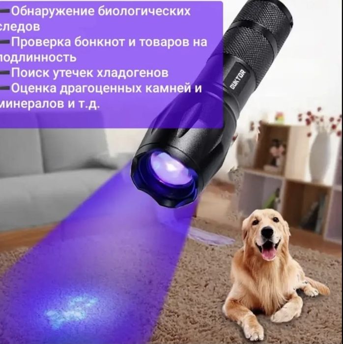 обычный и ультрафиолетовый фонарик