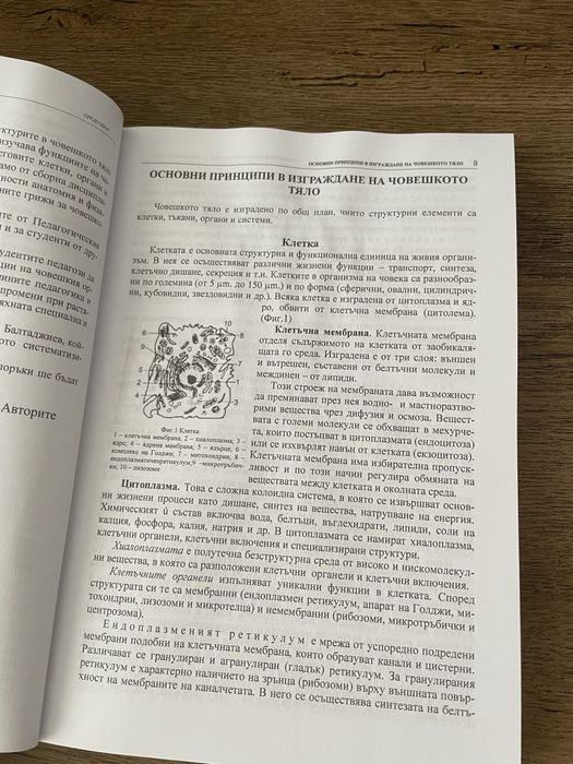 Учебник по анатомия и физиология на човека ПУ