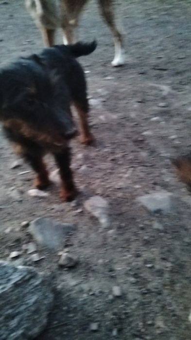 Сату  Сату Ягтрер