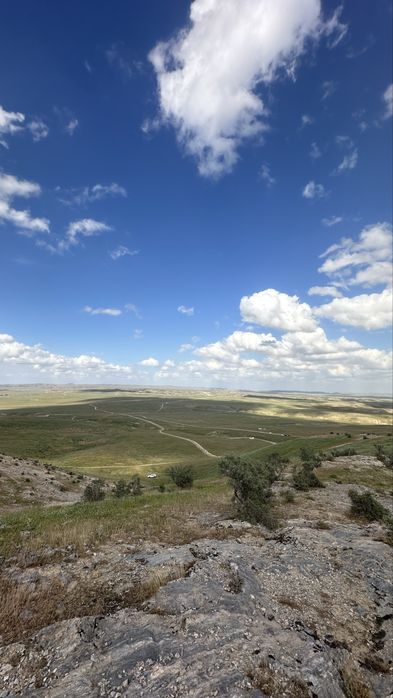 Dacha sotiladi 6 sotix