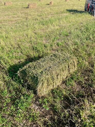 Продам рулоны и тюки сена