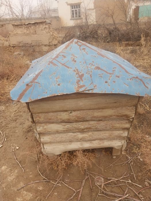 Теремок для собак