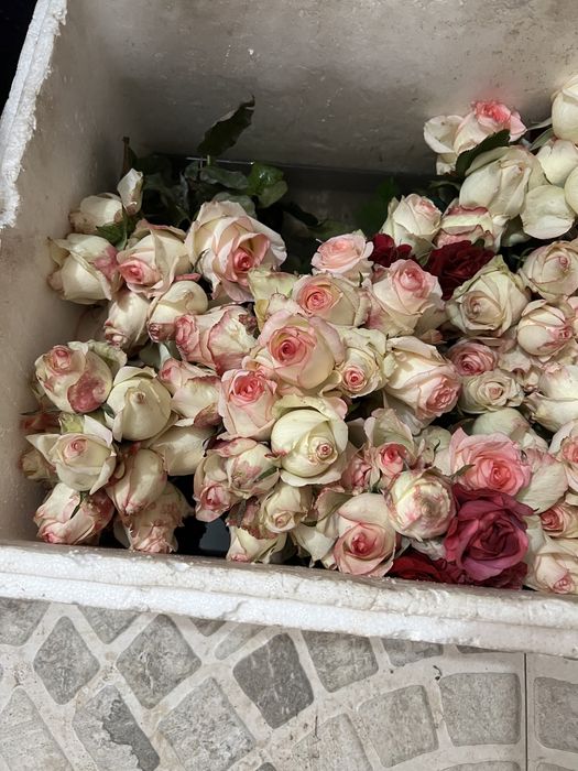 Gullar sotiladi 2500 somdan korzina