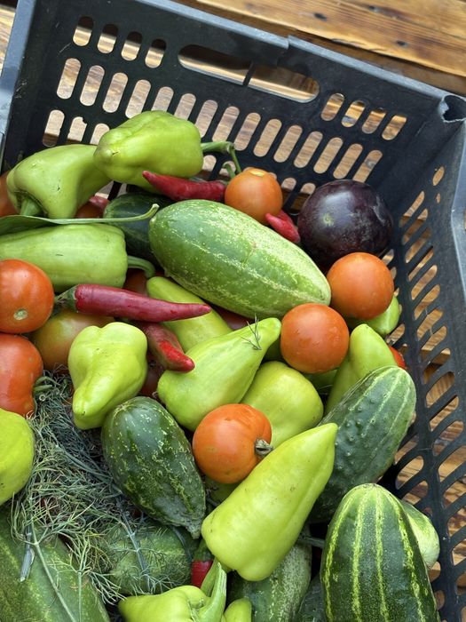 Продам дачу ! 1 краснаярские дачи .