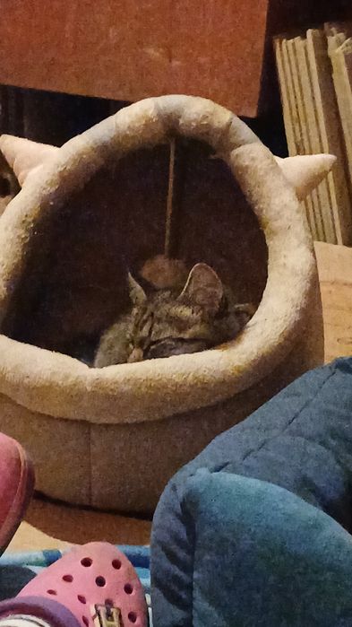 2мальчика 1девочка. Очень тактильные игривые