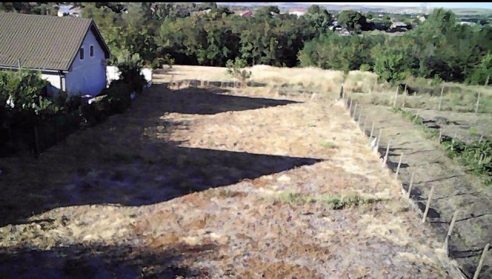 Teren intravilan 1000 mp Albesti(Dolj) 130€/mp - Vedere 4