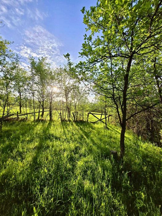 Proprietate deosebită în Răchitova – 5000 mp teren, două case renovate