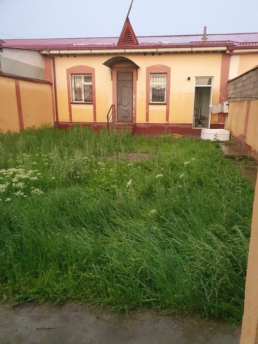 Kotej 2 sotix sotiladi