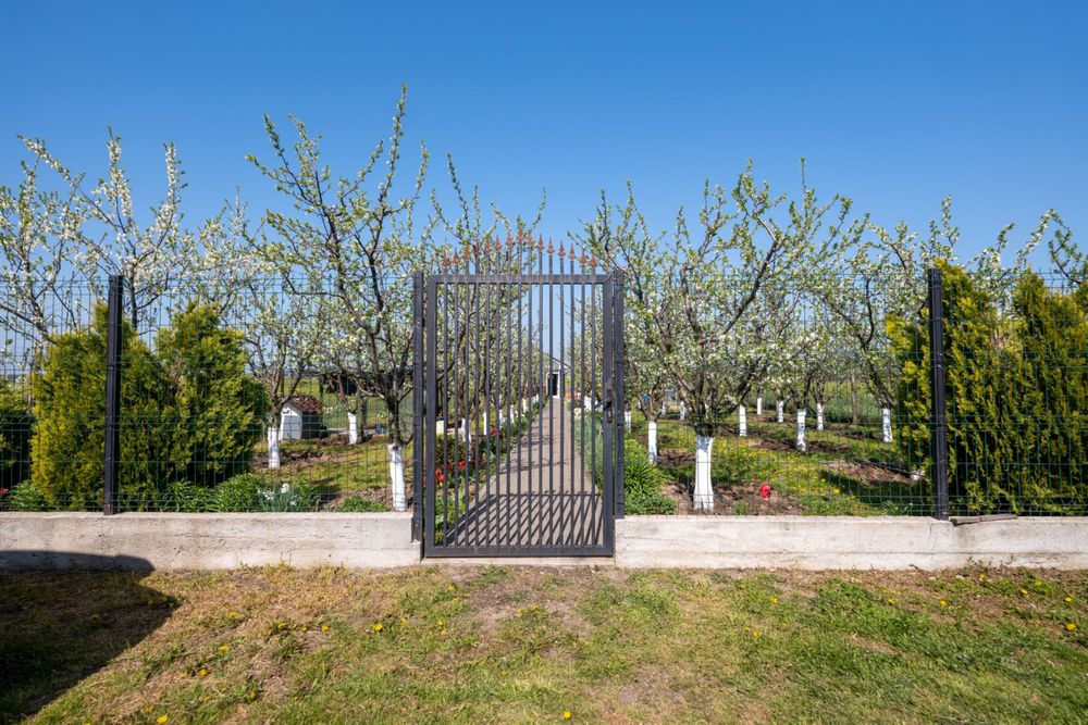 Teren si Casa de vacanță / Livada de pruni / Tufeni - OLT