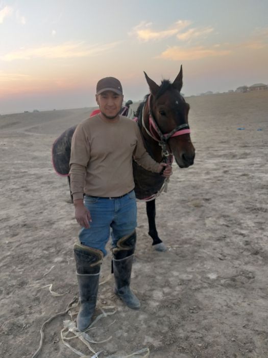 Ot sotladi yoshi 11 da