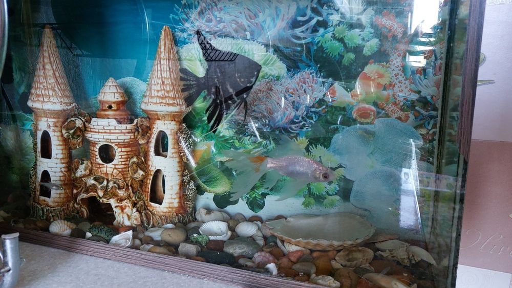 Аквариум в комплекте