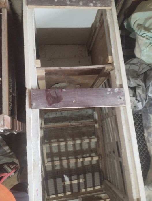 Quyonlar va qafaslari sotiladi