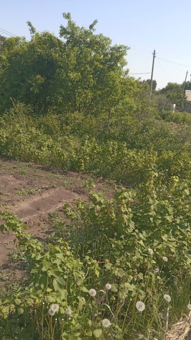 Продам дачу в Железобетонщике