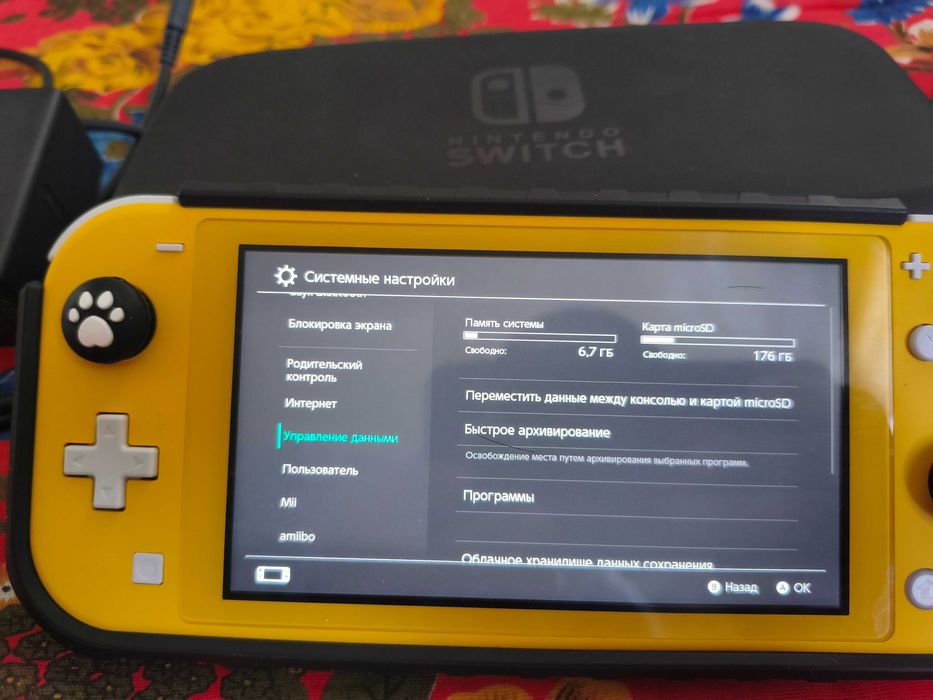 Nintendo switch lite прошитая