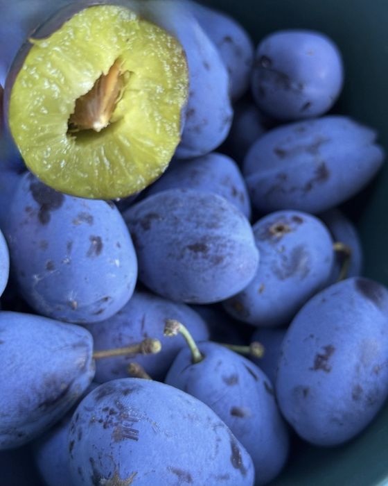 Vand prune productie proprie