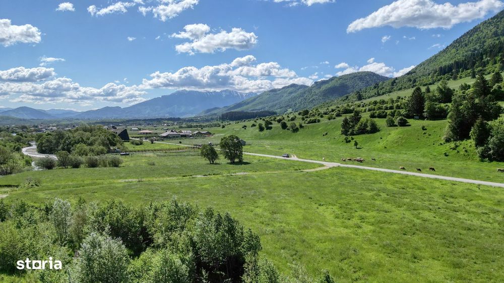 Teren intravilan 1269 mp cu priveliste la 12 km de zona Bran-Moeciu.
