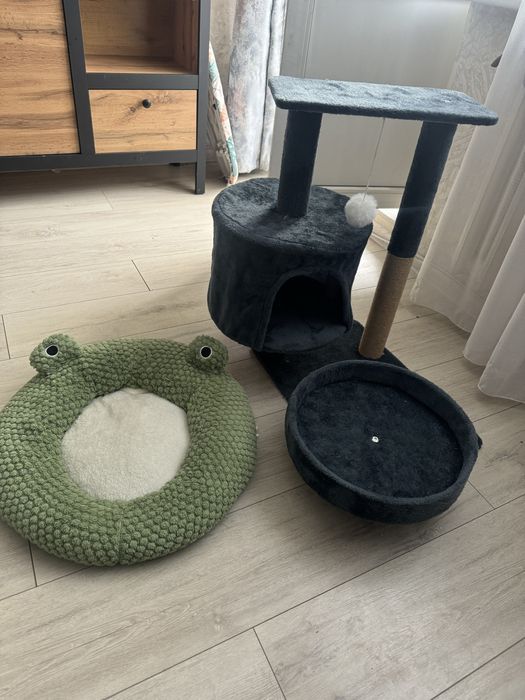 Срочна  продам котят