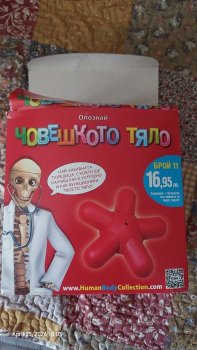 Човешкото тяло основа за скелет