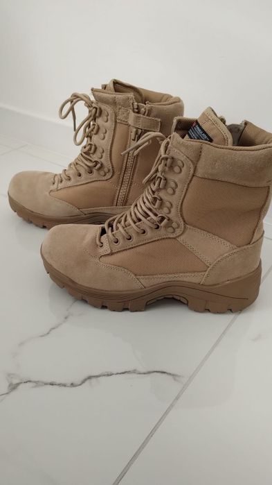 Bocanci iarna desert