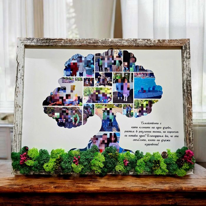 Живи картини/ пана за декорация с естествен скандинавски мъх