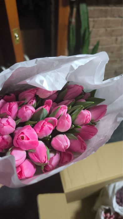 Продам Тюльпаны Алмата