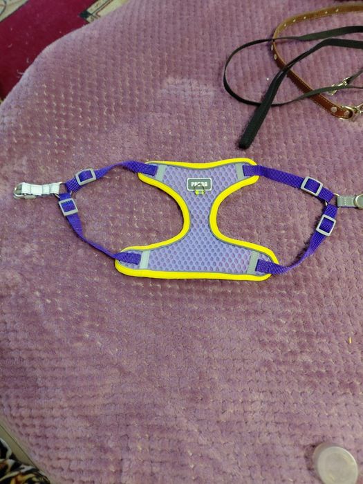 Подам жилетку  для собак