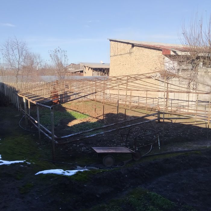 Teplitsa 1 sotikli tayor