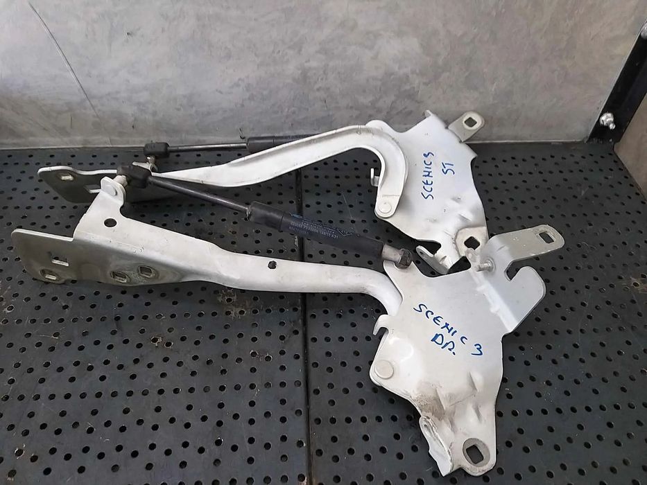 Set balamale cu amortizoare capota renault scenic 3 654700008r 020068f30355n