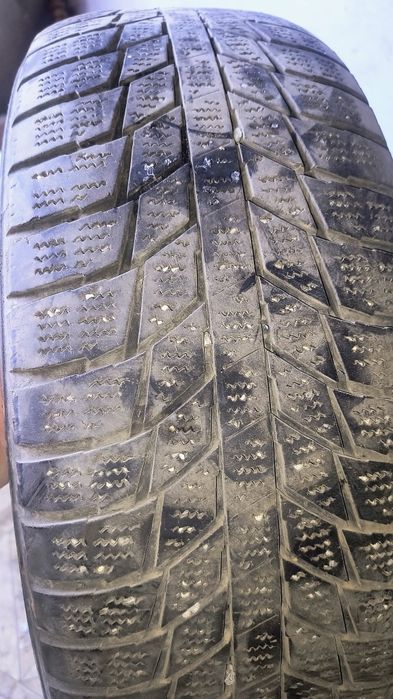 Продам летние шины на R 15