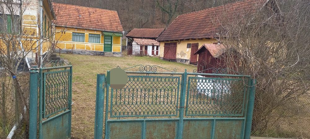 Casă lntre Petriș și săvârșin 6400 mp intravilan  zona foarte bună