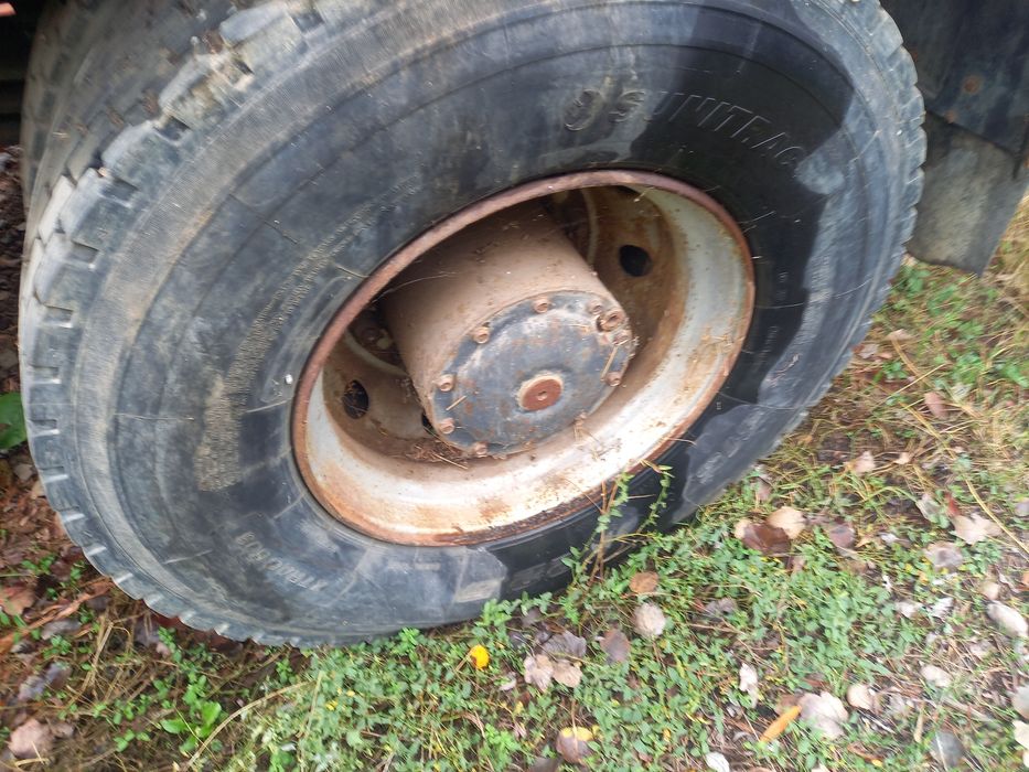 Motor - punte spate , Man silent 19.403 , motor 11967 cc , 294 kw