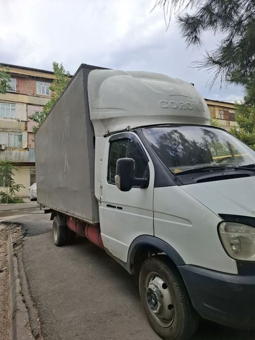 Газел сотилади срочно