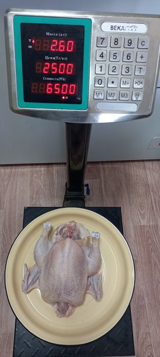 Мясо бройлера домашнее