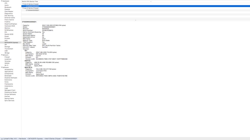 Mac mini Server mid‑2011 • i7 Quad‑Core • 2×500GB SSD RAID  • 16GB RAM