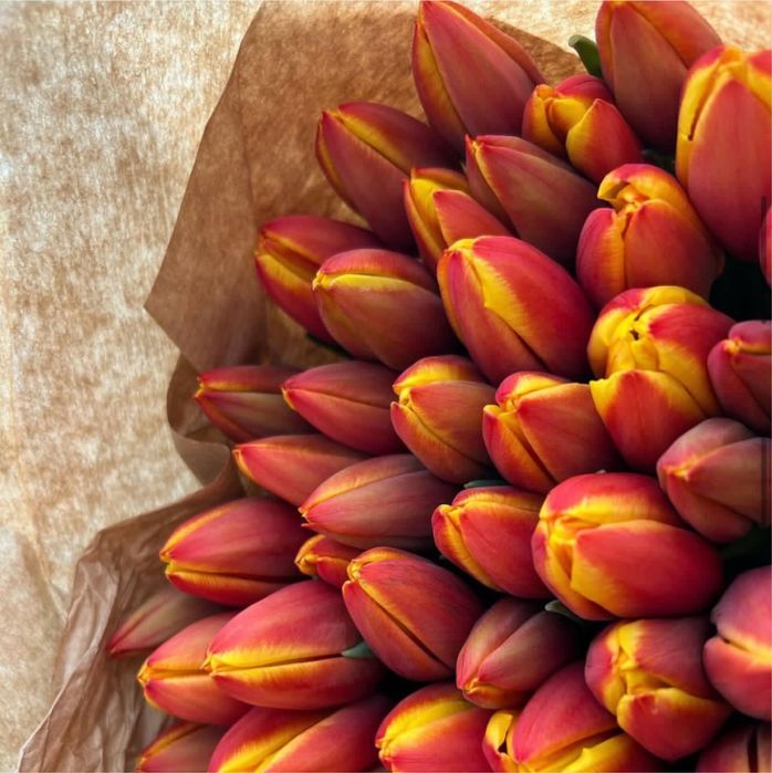 Тюльпаны оптом цена 450 тг