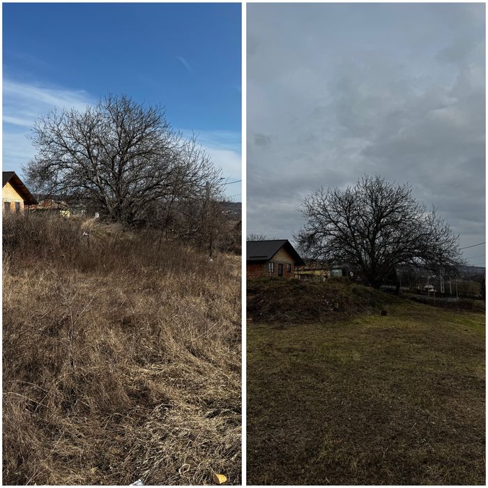 Cosim, Tăiem, Curățăm – Rapid și Eficient! Plus altele.