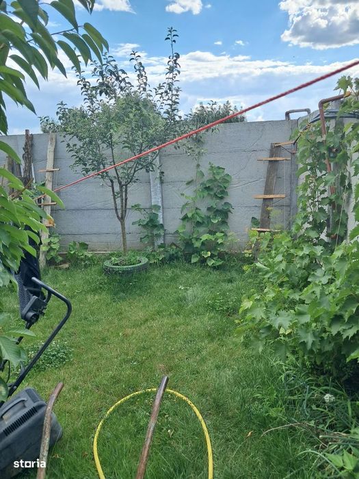 Casă Deosebită pe Structură de Lemn – Domnești Zona Țegheș | padure