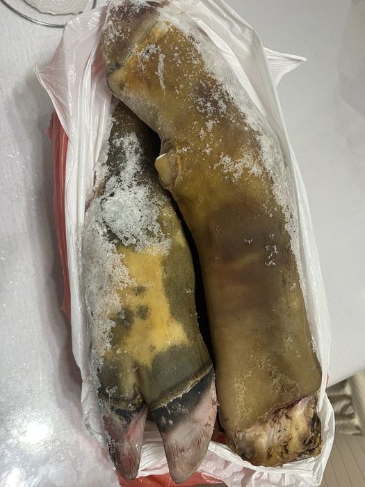 Продается говяжья ножка